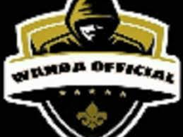 Wanda Official Injector APK icon